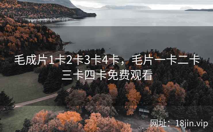 毛成片1卡2卡3卡4卡，毛片一卡二卡三卡四卡免费观看