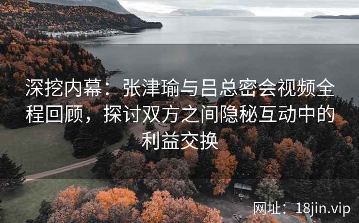 深挖内幕：张津瑜与吕总密会视频全程回顾，探讨双方之间隐秘互动中的利益交换