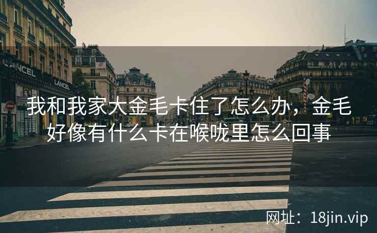 我和我家大金毛卡住了怎么办，金毛好像有什么卡在喉咙里怎么回事