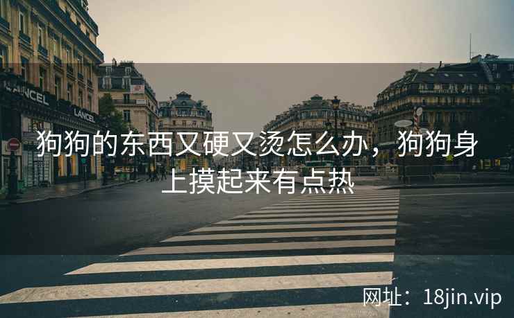 狗狗的东西又硬又烫怎么办，狗狗身上摸起来有点热